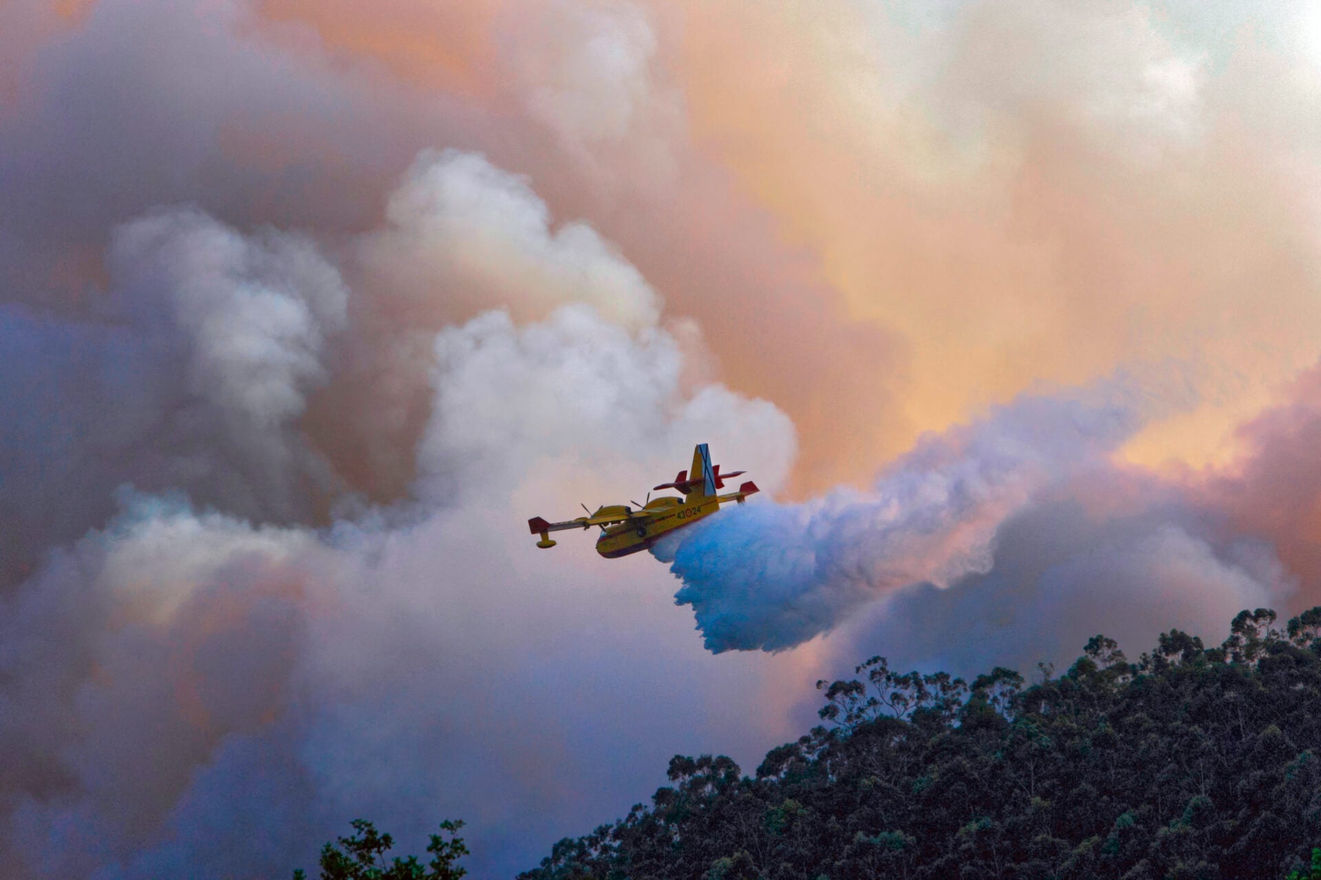  Business Continuity and Emergency Management 